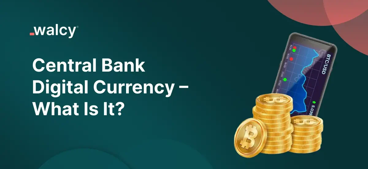 Central Bank Digital Currency