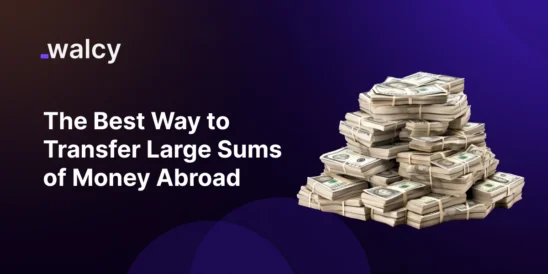 Feature Image Of A Blog Titled Transfer Large Sums Of Money Abroad