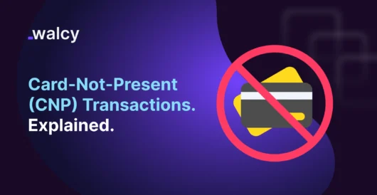 Feature Image Of A Blog Titled Card-Not-Present Transaction